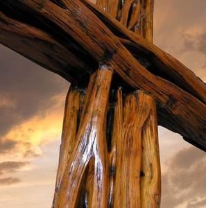 Meet your Posher, Malinda